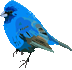 gr